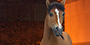 Cul De Sac - Li Li Ren & Stephen Hall, Point At A Deer Call It A Horse 2013