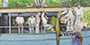 Thumbnail of Painting &laquo;Man Eating Caiman, Igaraparana&raquo; Roger Casement, 1910-11. 1.95 x 2.25 m, oil on linen